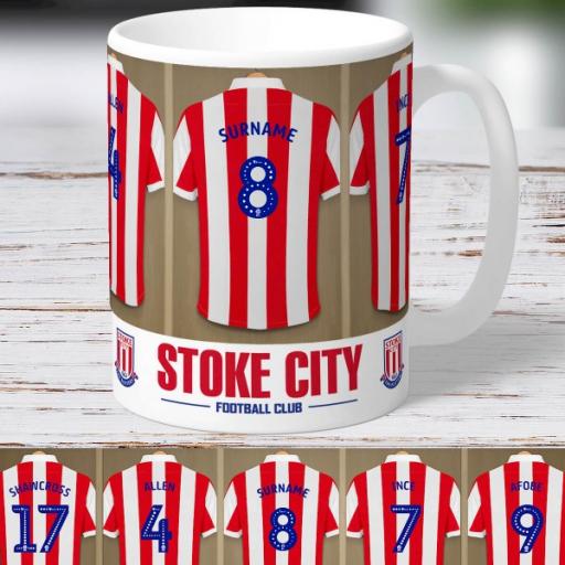 Stoke City FC Dressing Room Mug