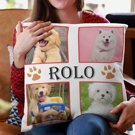 4-pic-collage-ROLO3.jpg