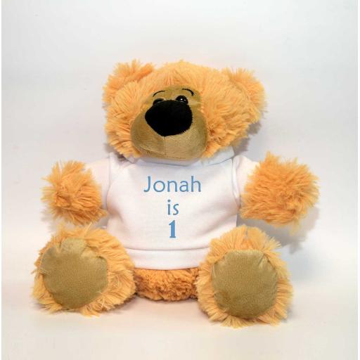 Personalised Teddy Bear Hug - Add Name/Message/Image