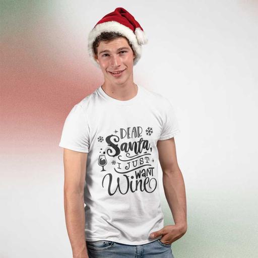 shirt-dear-santa-i-just-want-wine.jpg