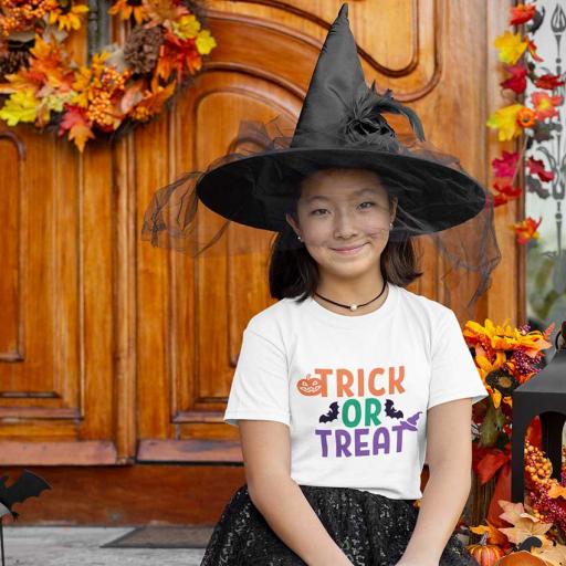 Personalised 'Trick or Treat' Halloween t-Shirt